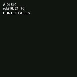 #101510 - Hunter Green Color Image